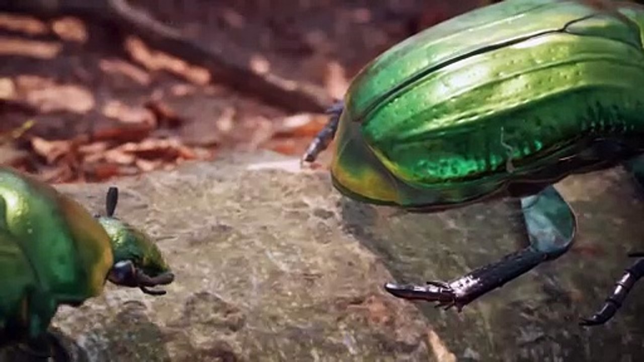 Empire of the Ants: Der Trailer zum Ameisen-Strategiespiel auf PS5