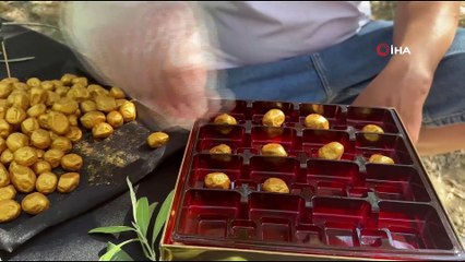 Altın kaplamalı zeytin görenleri şaşırtıyor!