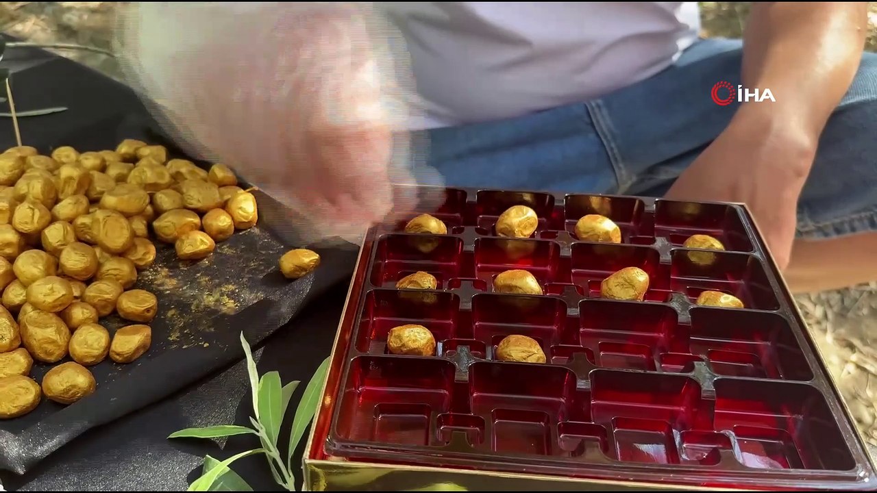 Altın kaplamalı zeytin görenleri şaşırtıyor!