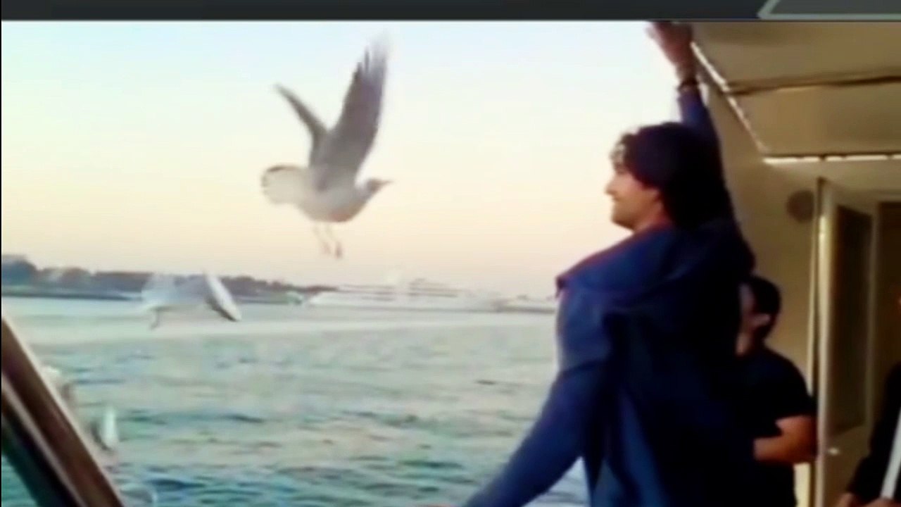 M.Irfan what a Catch ... Bird