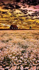 Surah An-Nasr full | Quran Recitation