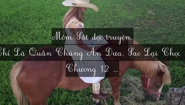 C11-C22 Chỉ Là Quần Chúng Ăn Dưa, Sao Lại Chọc Phải Đỉnh Lưu Thế Này
