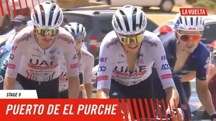 8  riders survive at the front - Stage 9 - La Vuelta 2024