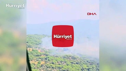 İzmir'de çam fıstığı ağaçları ile kaplı tarım arazinde yangın