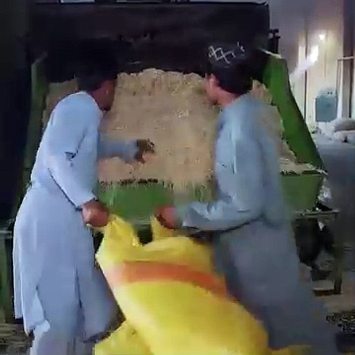 माचिस की तीली उत्पादन प्रक्रिया