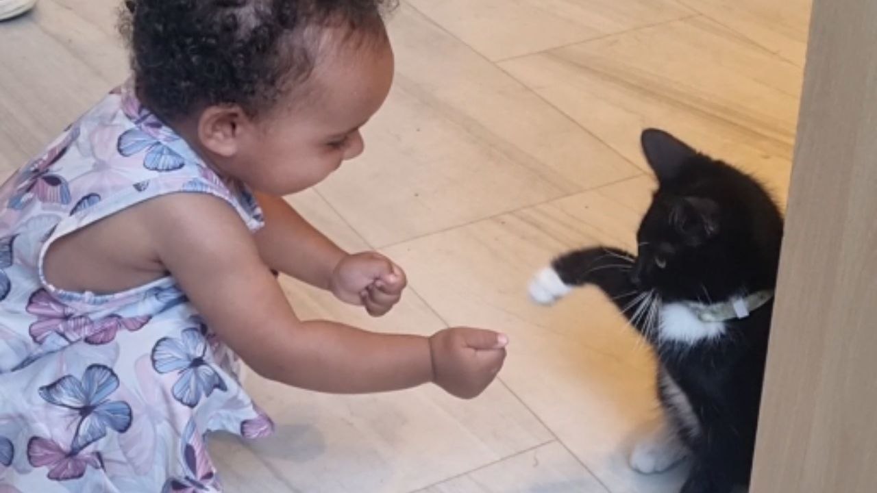 Toddler's adorable giggles while playing with gentle kitten will melt your heart