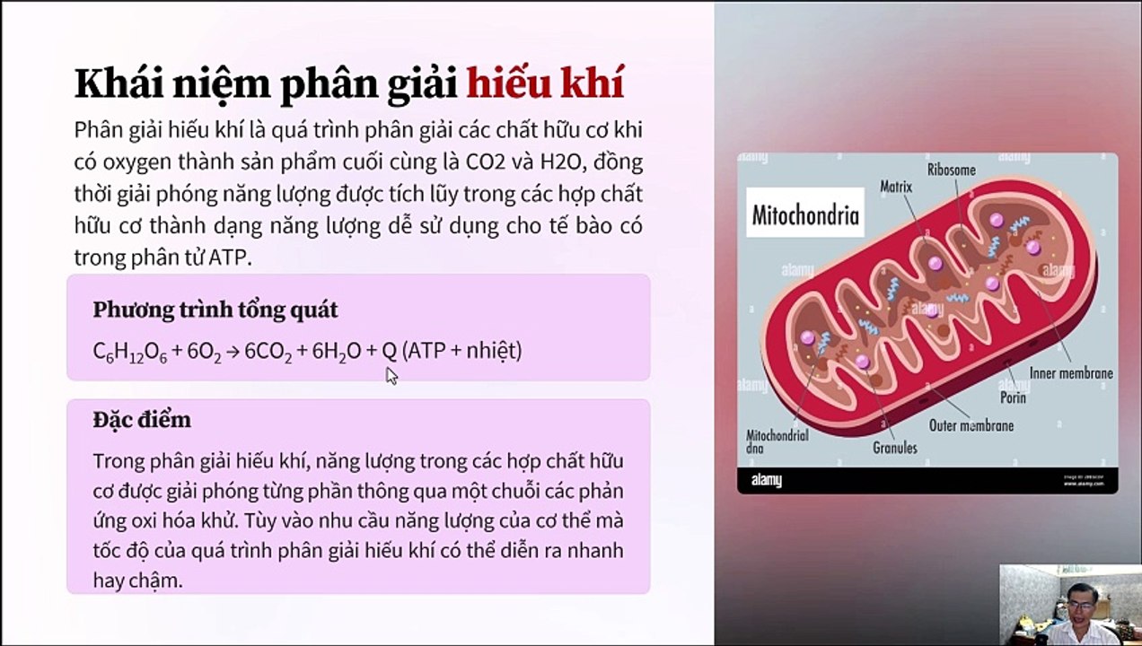 Sinh 10_Bài 16 Phân giải các chất và giải phóng năng lượng