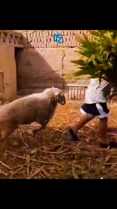 Funny Fails Of The Year Compilation 03