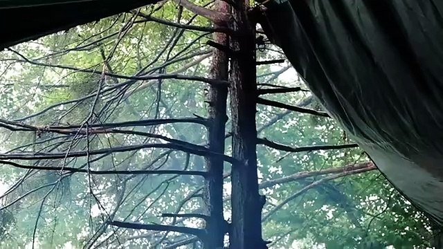 My Solo Trip to ALASKA _ Cruising From Vancouver to Anchorage