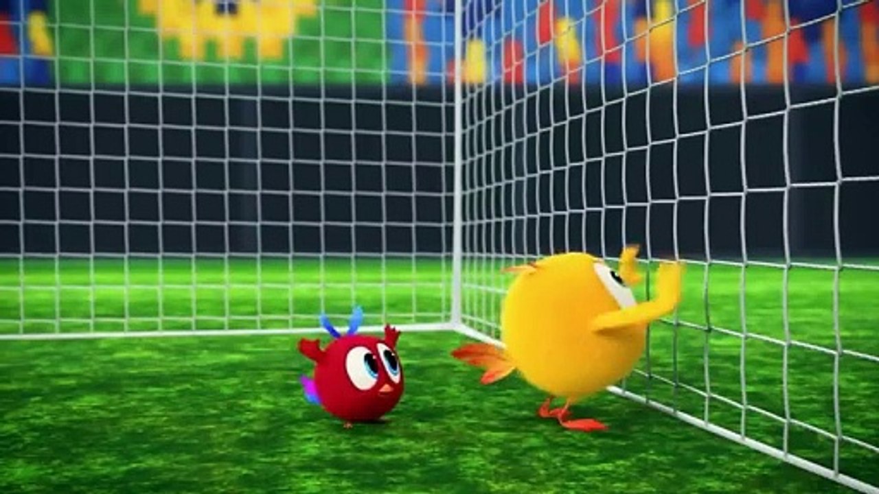 Crazy Race! - Where's Chicky. - Cartoon Collection in English for Kids - New episodes