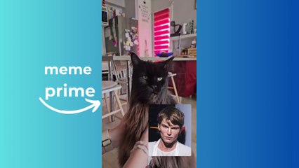 BEST MEMES COMPILATIONS 2024! | FUNNY VIDEOS V1