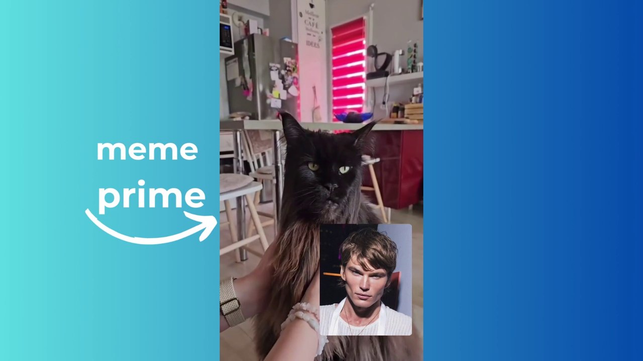 BEST MEMES COMPILATIONS 2024! | FUNNY VIDEOS V1