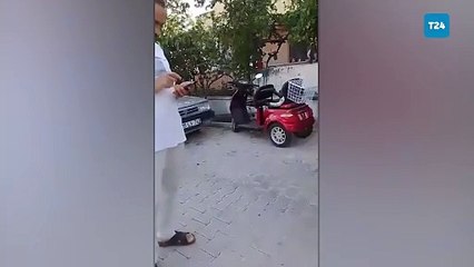 Tekirdağ'da bir kişinin köpekleri taşladığı iddia edildi