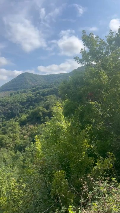 DE LA VERDURE dans le Sud de la France en Aveyron