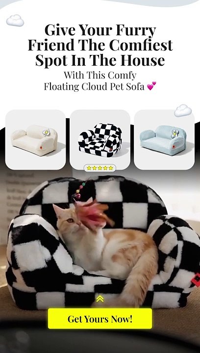Floating Cloud Pet Sofa Cat Dog Bed