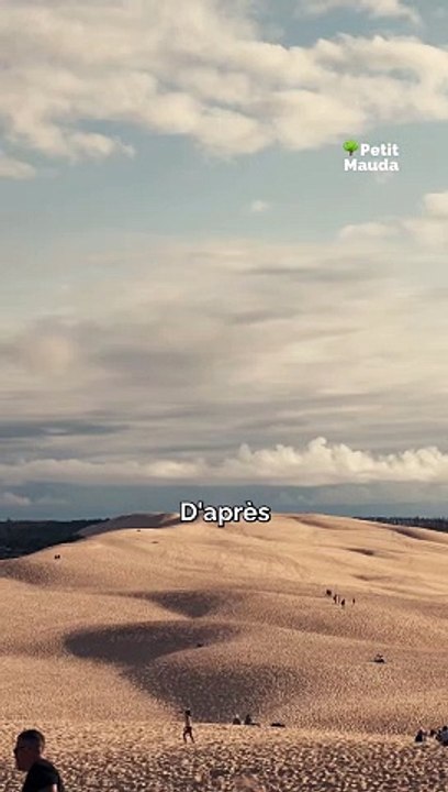 Les magnifiques dunes du Pilat    Venez découvrir la Dune du Pilat, un véritable terrain de jeu naturel !   Grimpez au sommet pour profiter d'une vue imprenable sur l'océan et les forêts environnantes.    C'est l'endroit parfait pour une escapade en