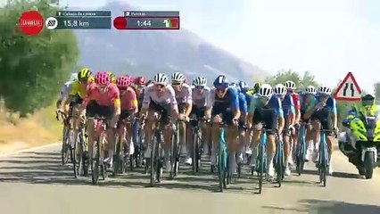 الغزلان تسبب حادثاً في سباق للدرّاجات