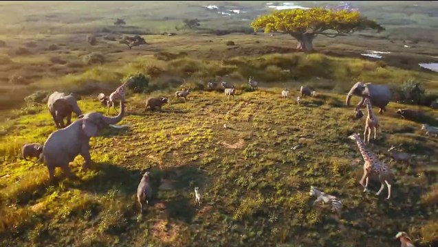 Mufasa： The Lion King ｜ Hindi Trailer ｜ Shah Rukh Khan, Aryan Khan, AbRam Khan ｜ In Cinemas Dec 20