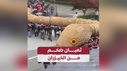 ثعبان ضخم من الخيزران