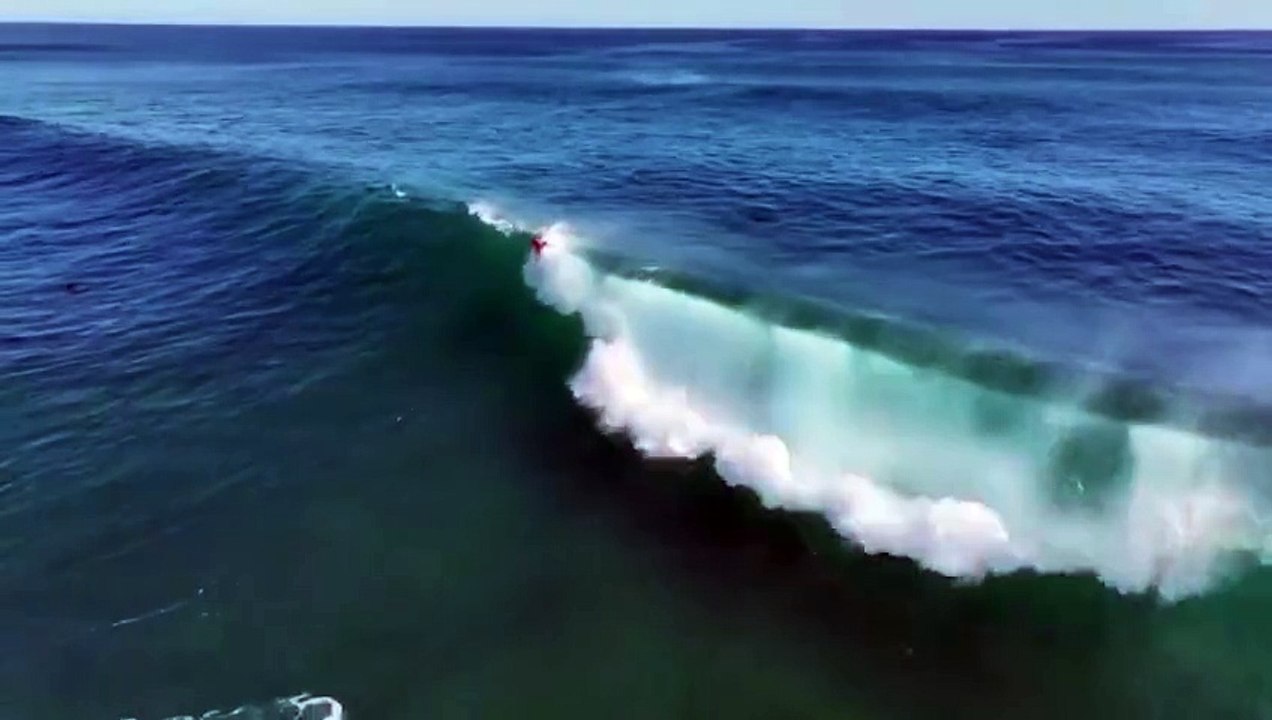 Un Banc de Dauphins Accompagne la Surfeuse Gabriela Bryan Vers sa Première Victoire Mondiale en Australie !