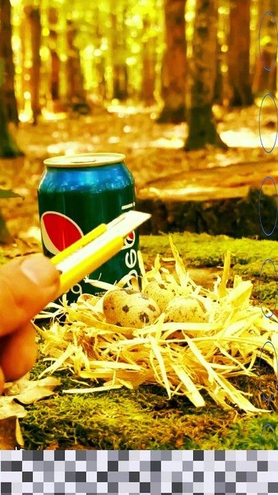 Survival Skills | Camping Skills | Lifehacks | Bushcraft ideas Part 1