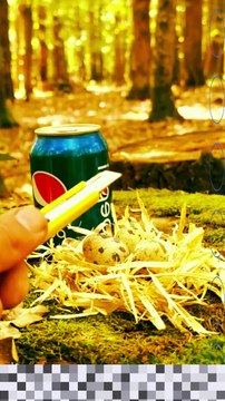 Survival Skills | Camping Skills | Lifehacks | Bushcraft ideas Part 1