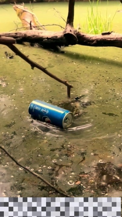 Survival Skills | Camping Skills | Lifehacks | Bushcraft ideas Part 8