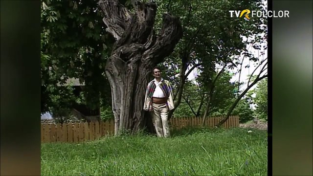 Gheorghe Rosoga - Intr-o zi pe vreme rea (Popasuri folclorice - TVR - 2008)