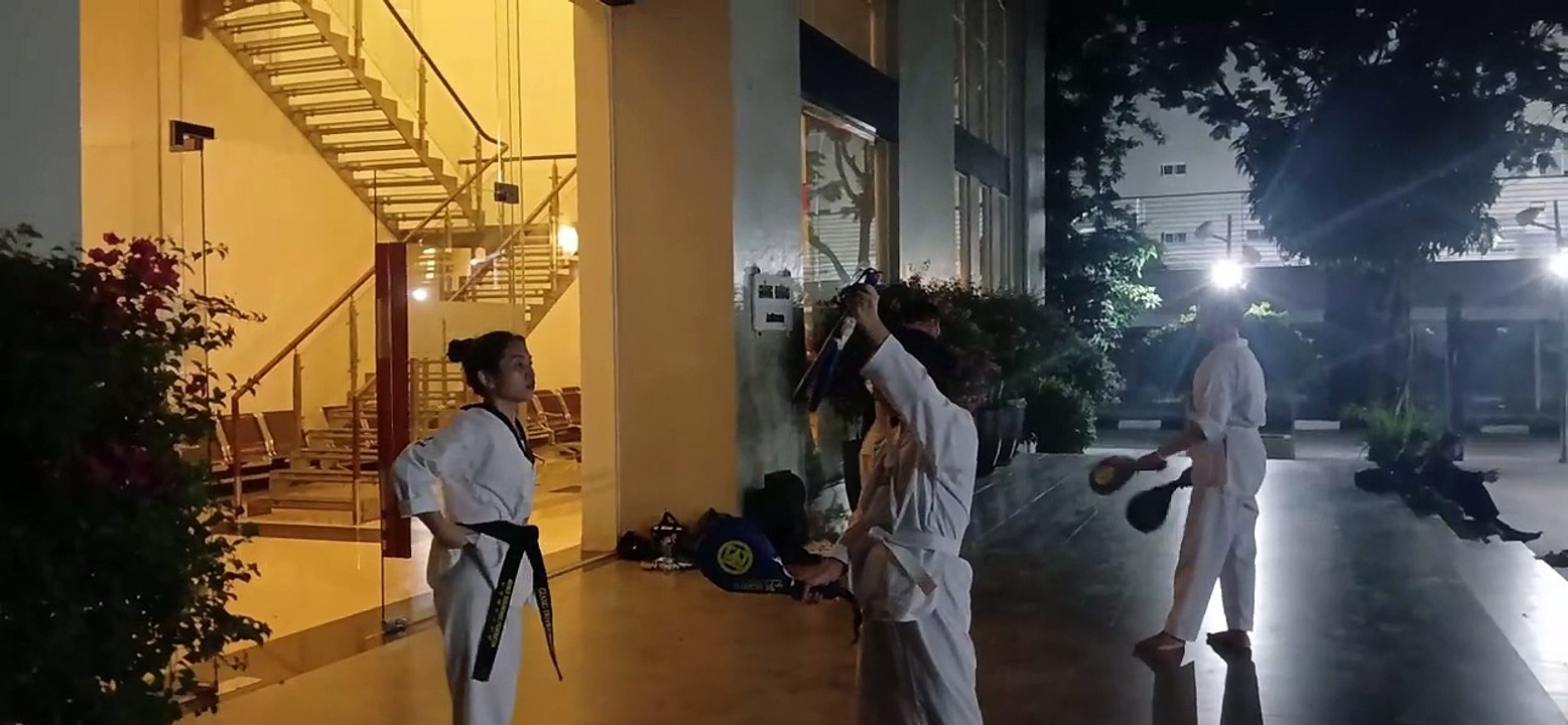 Taekwondo, tkd 20240805_191208