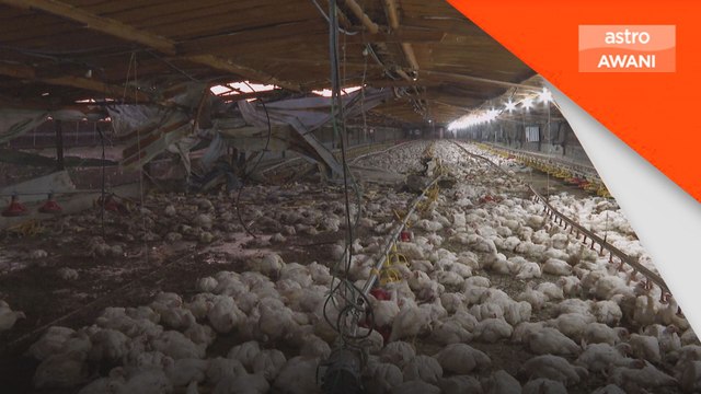 Konflik Asia Barat: Hezbollah, Israel berbalas serangan, ketegangan meningkat