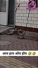 Ha ha ha phati phati pahle hi