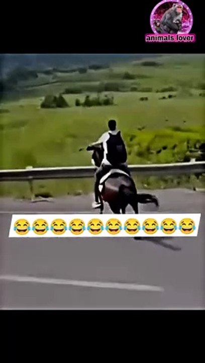 Paltu Baba