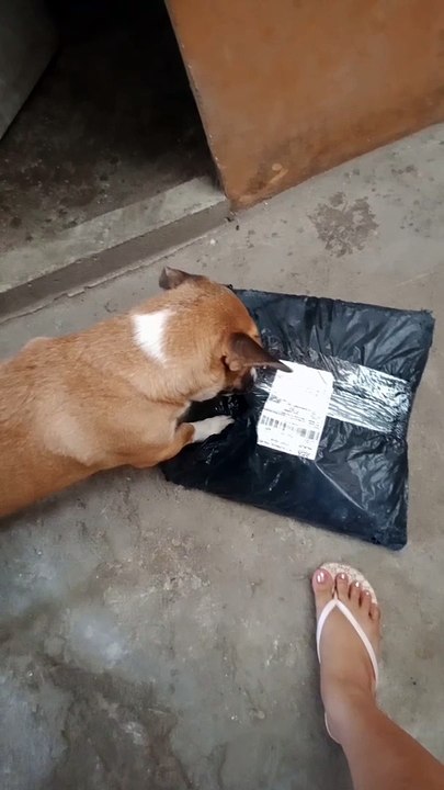 ryver got parcel