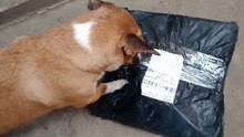 ryver got parcel