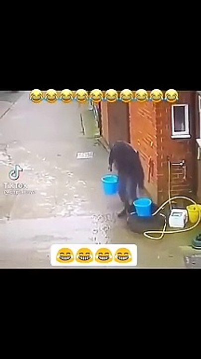 Mex funny Arabic video