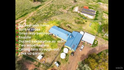 Tyrone, Coonamble, NSW | August 26, 2024 | Farmonline