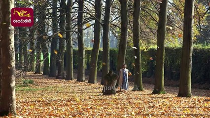 Mathaka Siththam_මතක සිත්තම්_Episode 10