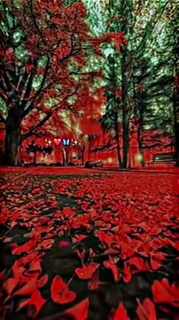 Khaz ka tokro pa rishta jora ha apni he Nazar sy Dil ye gera ha song