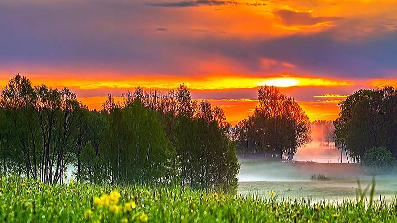 Âm nhạc thư giãn trị liệu với cảnh đẹp nhân gian - Chữa lành cảm xúc với những cảnh đẹp Cao nguyên