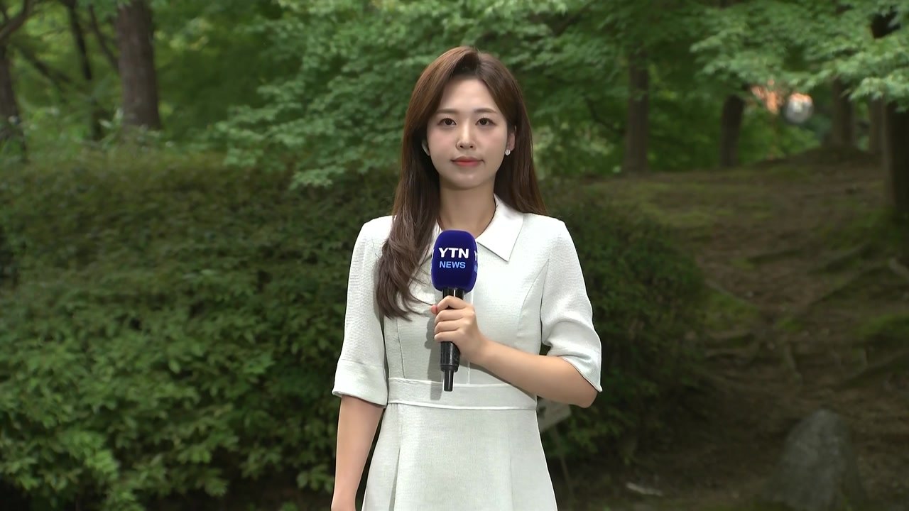 [날씨] 서울 하루 만에 '다시 열대야'...무더위 속 곳곳 소나기 / YTN