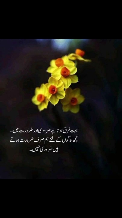 ضرورت ہوتے ہیں ضروری نہیں #trending#viral#shorts#islamic#follow#foryou#dailymotion#share