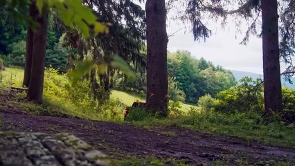 Never Steal Money From A Killer _ Full Movie _ Action Crime _ Daniel Baldwin _ Bring Him Back Dead