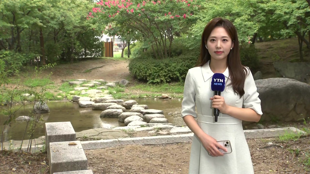 [날씨] 서울 '다시 열대야'...낮엔 무더위 속 곳곳 소나기 / YTN