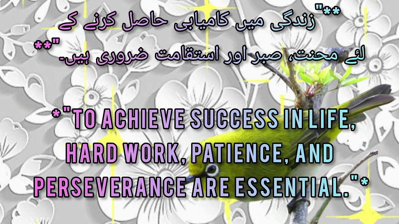 Daily Motivation: Profound Islamic Quotes for Spiritual Growth Top Islamic Quotes for Inner Peace and Guidance