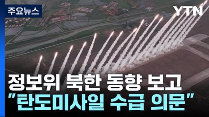 국정원 "북, 발사대 250대 있어도 수급 능력 의문" / YTN