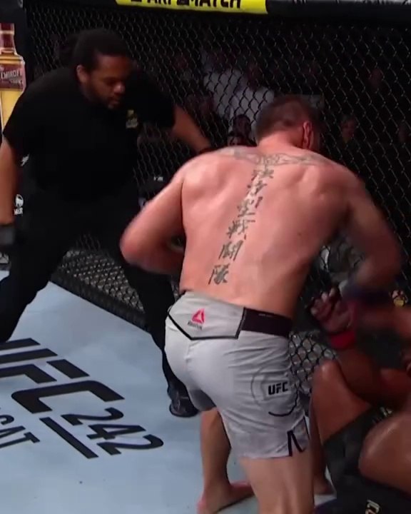 Inside the Octagon: The UFC Hook