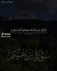 Imam masjad nabvi  ahmed bin talib