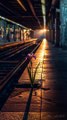 瀬戸直樹 _ Naoki Seto - A single iris blooms quietly in the deserted station at sunset.__iris _naturebeauty _flower _aftereffects(HD)