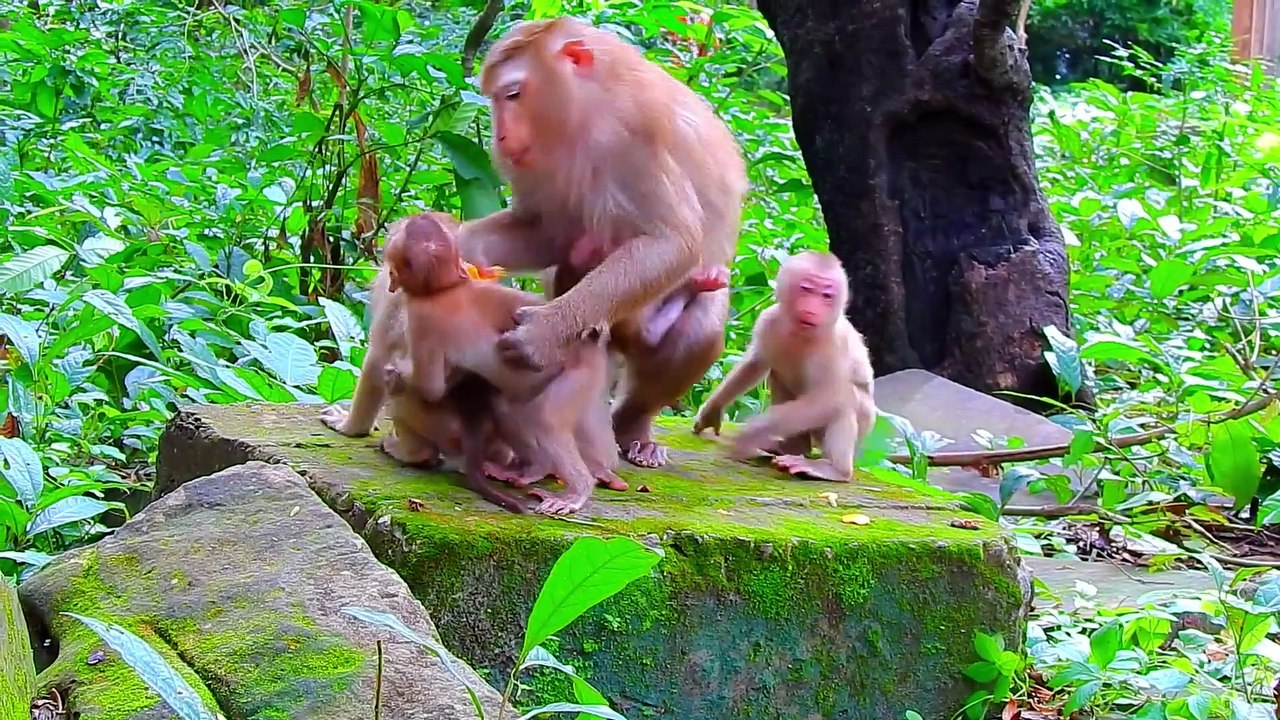 What happened to Jovi and Abandoned