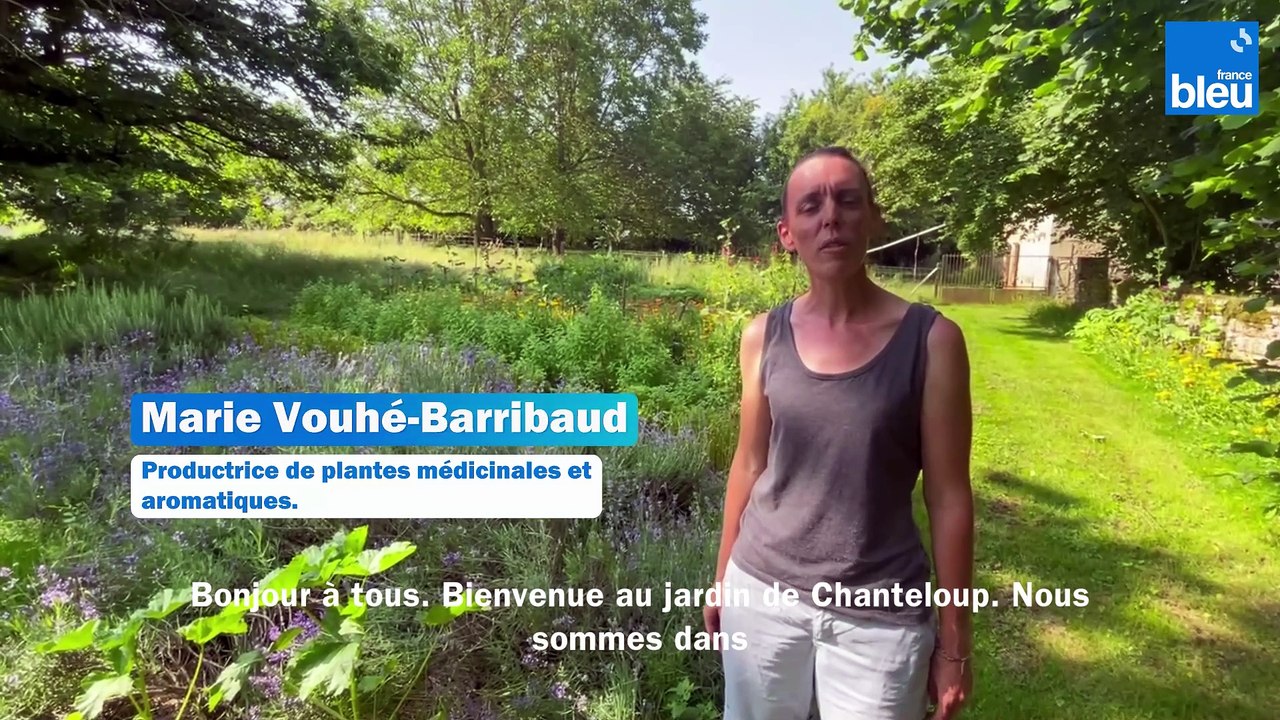 A la découverte du jardin de Chanteloup